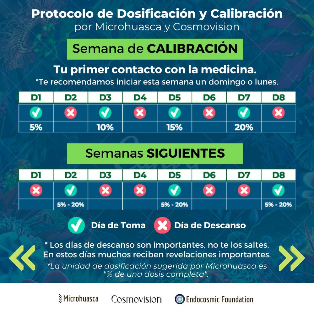 Protocolo de dosificación, semana 2