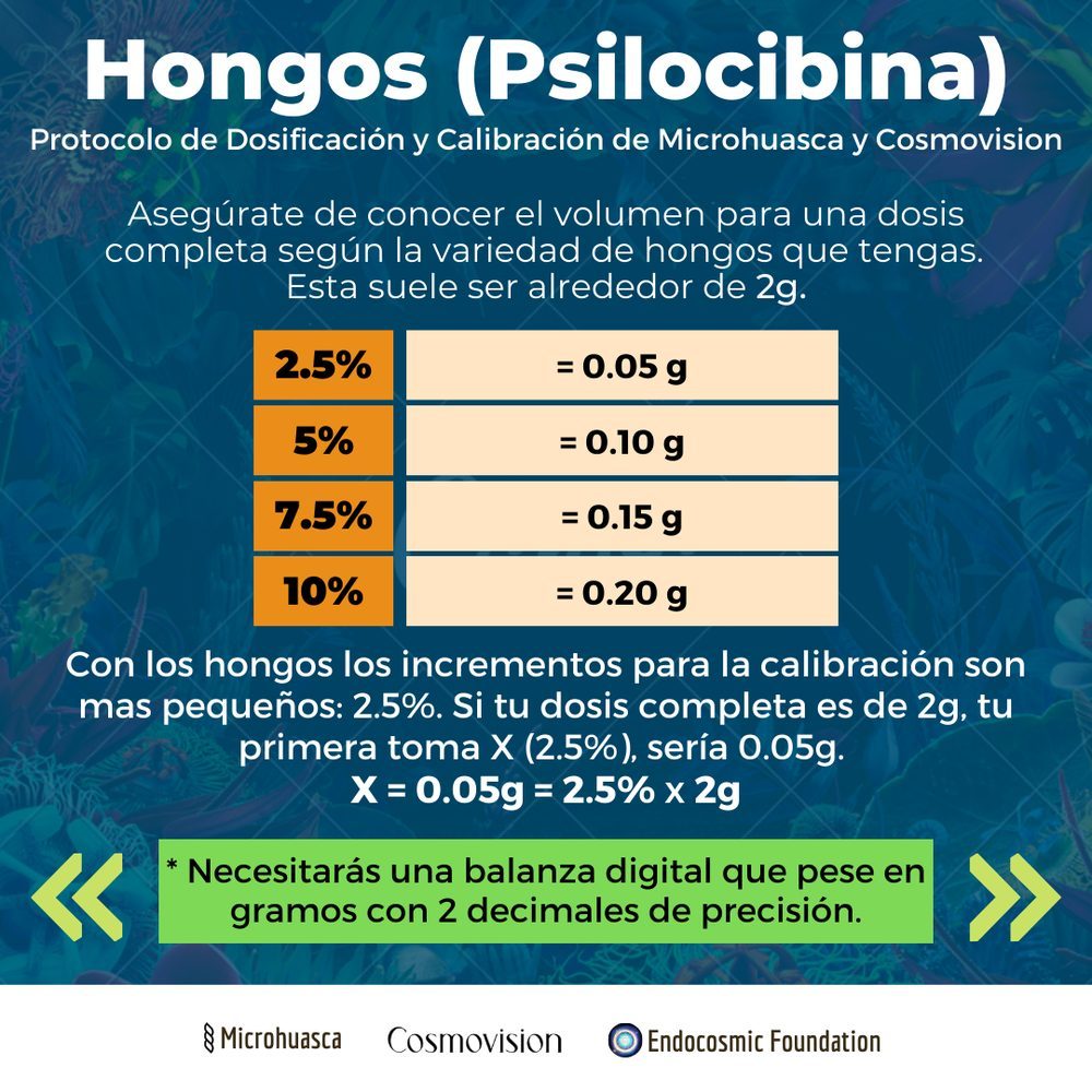 Protocolo de dosificación, semana 4