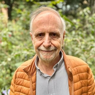 Ricardo Di Doménico