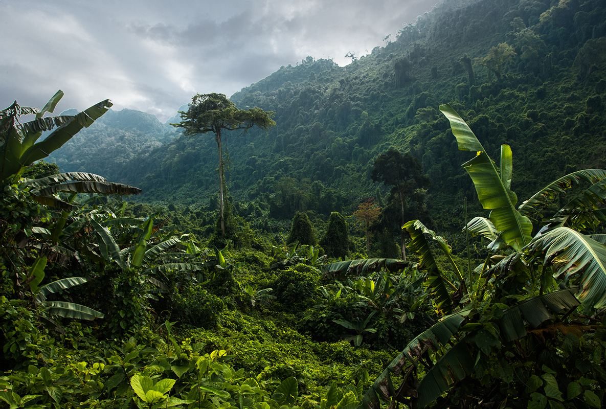 Amazonía peruana