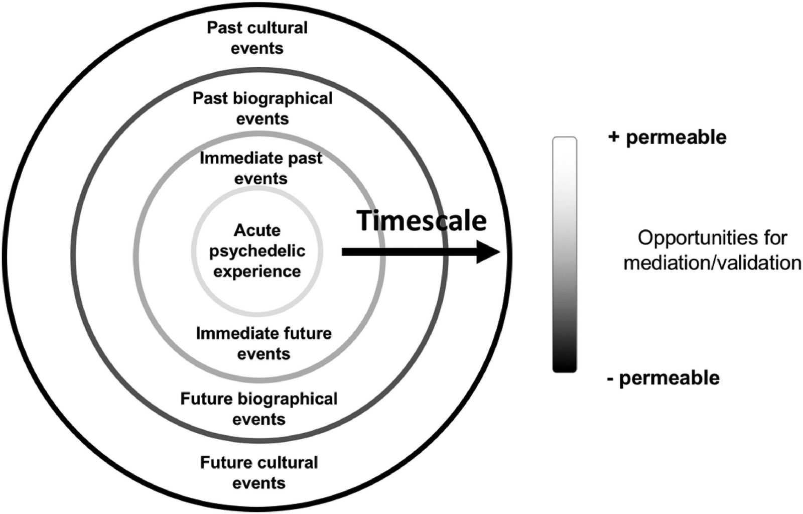 Figura 1. Oportunidades de mediación y validación a diferentes escalas temporales. Nota: Una experiencia psicodélica se inserta en escalas temporales variables (preparación, sesión, integración, vida cotidiana), que abren oportunidades más o menos permeables a la mediación/validación. Fuente: Timmermann et al., 2022. DOI: https://doi.org/10.1177/13634615221082796