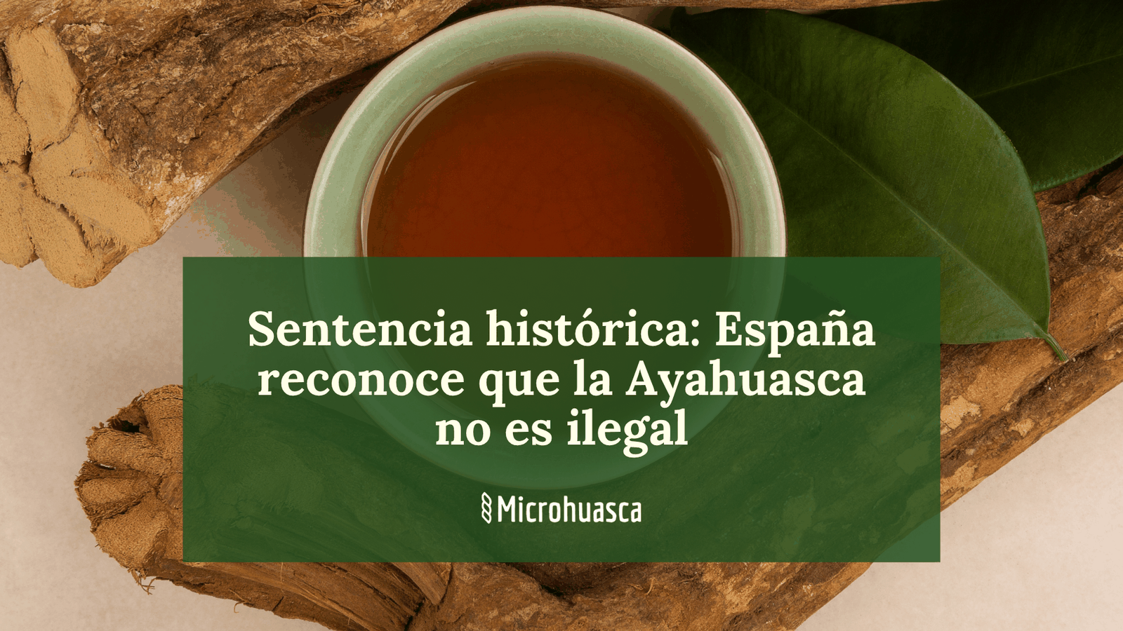 España reconoce que la Ayahuasca no es ilegal
