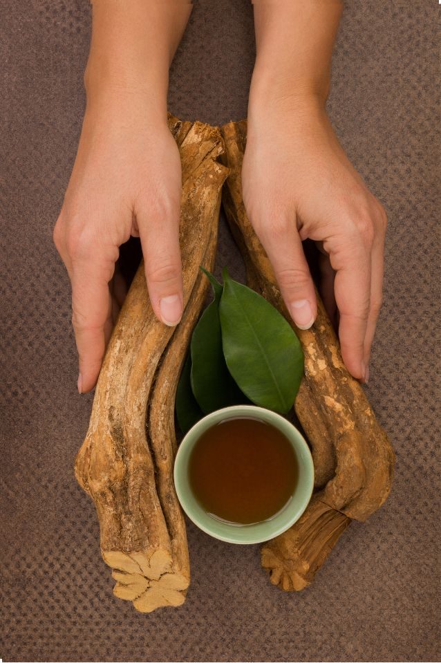 Manos sosteniendo la liana de ayahuasca junto a una taza de microdosis
