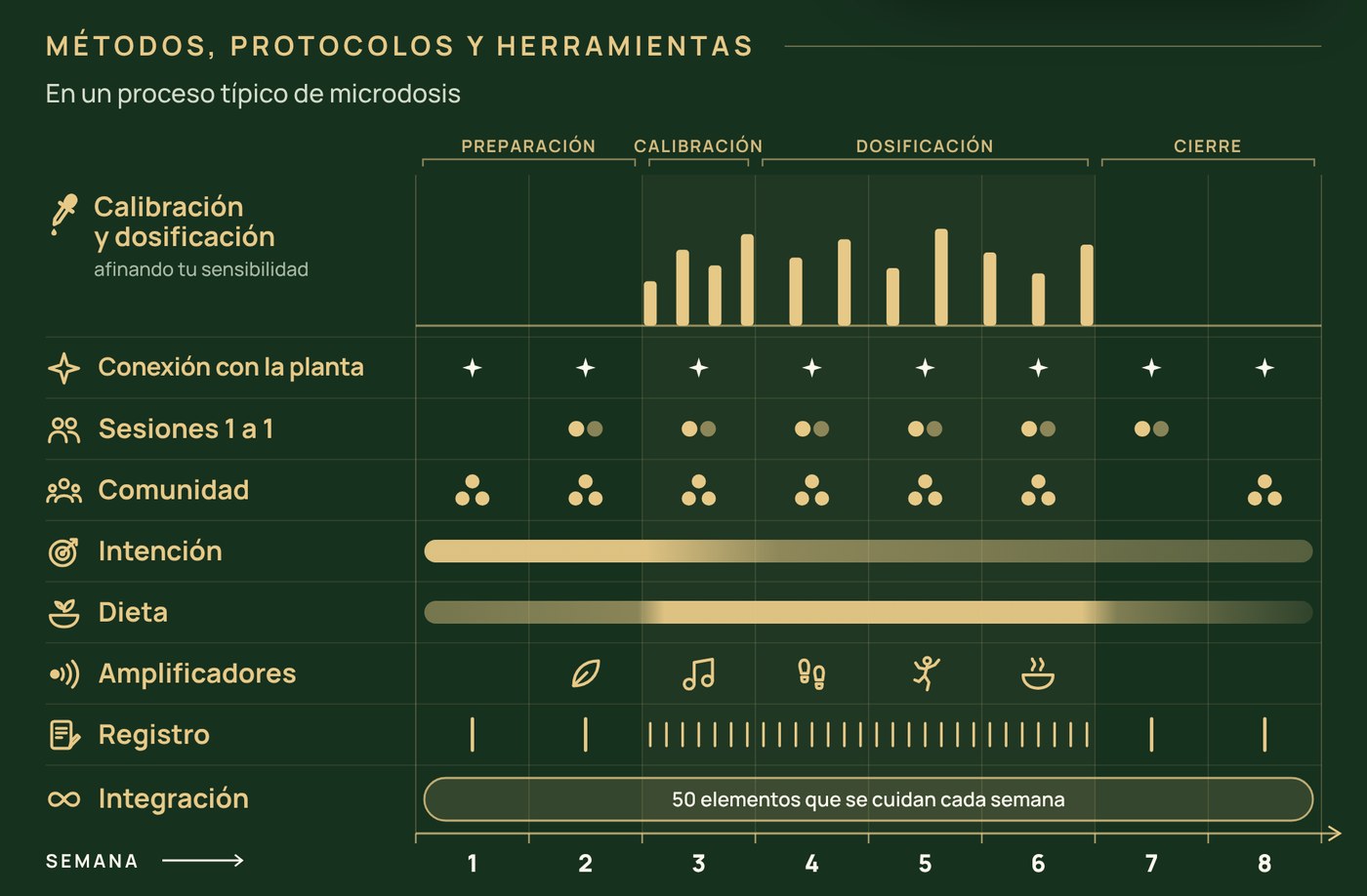 Métodos, protocolos y herramientas en un proceso típico de microdosis de ocho semanas: calibración y dosificación, conexión con la planta, sesiones uno a uno, comunidad, intención, dieta, amplificadores, registro e integración, semana a semana.