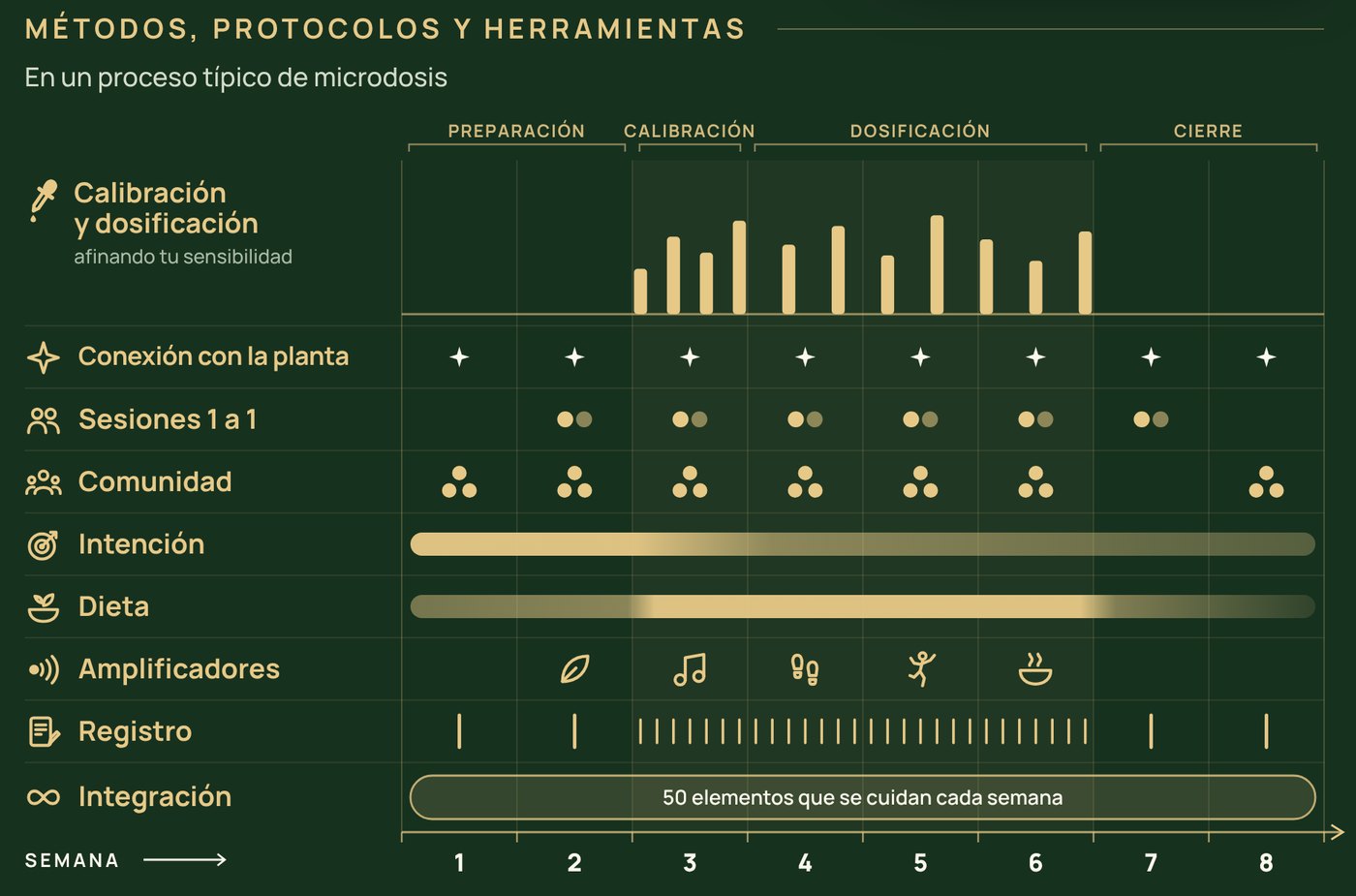 Proceso típico de microdosis en Microhuasca: ocho semanas con preparación, calibración, dosificación y cierre; conexión con la planta, sesiones uno a uno, comunidad, intención, dieta, amplificadores, registro e integración